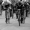 RoyThameCup_Feature
