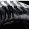 FarawayWheelsCHS_feature
