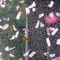 GiroStage3_01_Greipel_feature